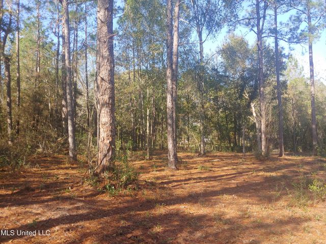 Nhn E Crazy Horse Drive, Kiln, MS 39556