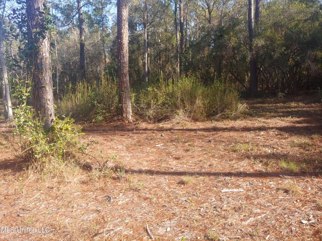 Nhn E Crazy Horse Drive, Kiln, MS 39556