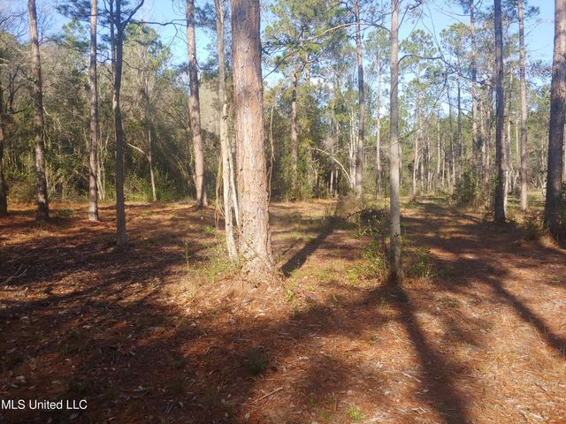 Nhn E Crazy Horse Drive, Kiln, MS 39556