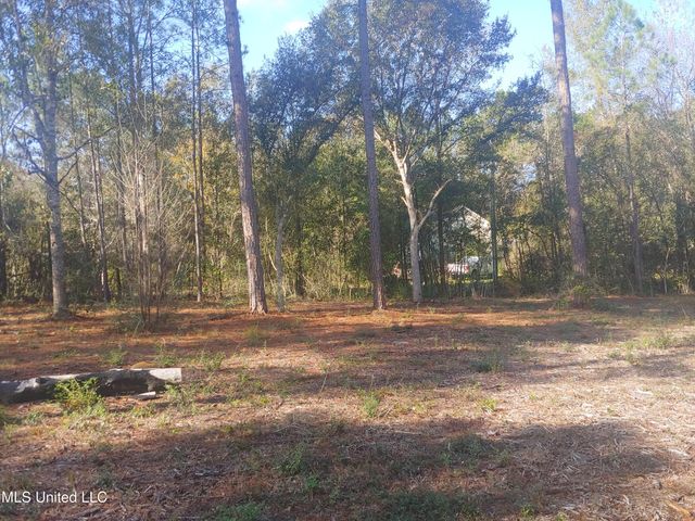 Nhn E Crazy Horse Drive, Kiln, MS 39556