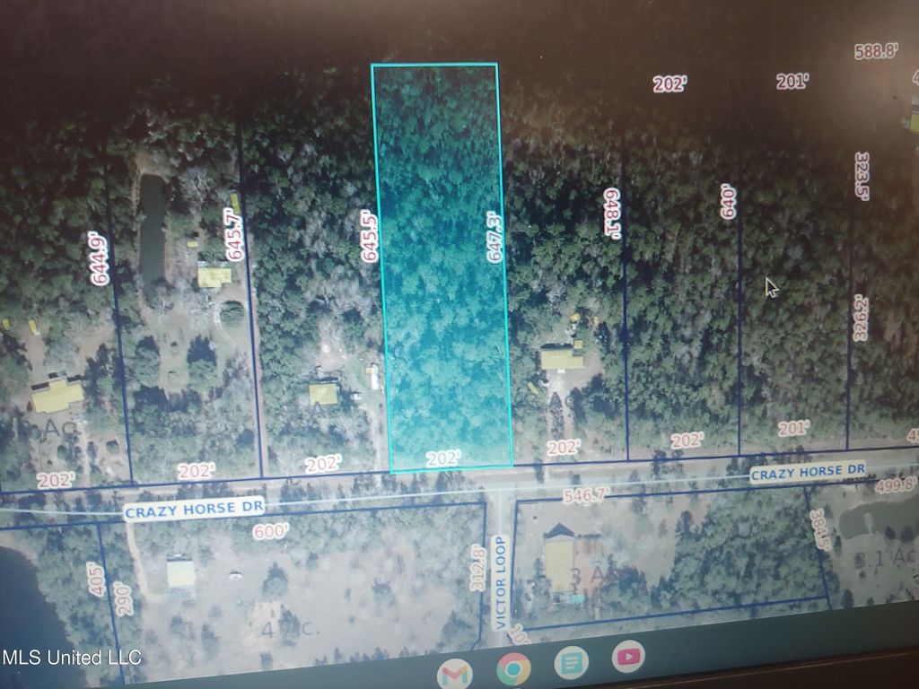 Nhn E Crazy Horse Drive, Kiln, MS 39556