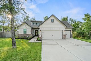 18203 Samie Nell Court, Willis, TX 77378