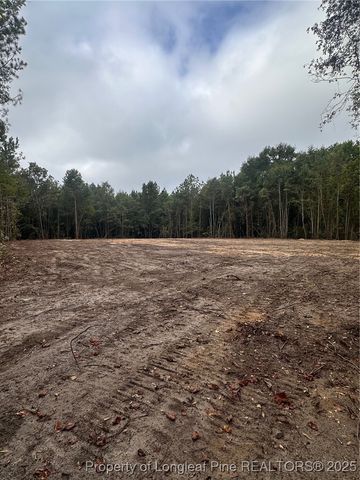 TBD Doe Hill Road, Autryville, NC 28318