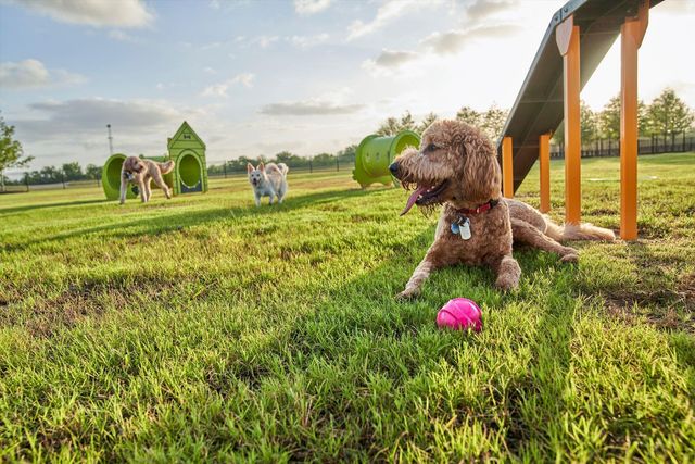 24930 Poppy Terrace Court, Katy, TX 77493