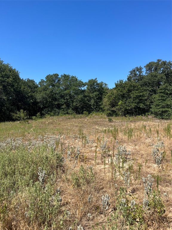 Lot 42 Antrim Court, Poolville, TX 76487 — photo 2