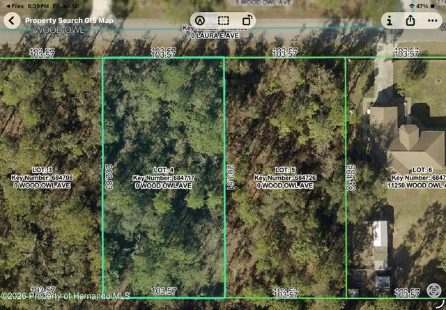Lot 4 Wood Owl Avenue, Weeki Wachee, FL 34614