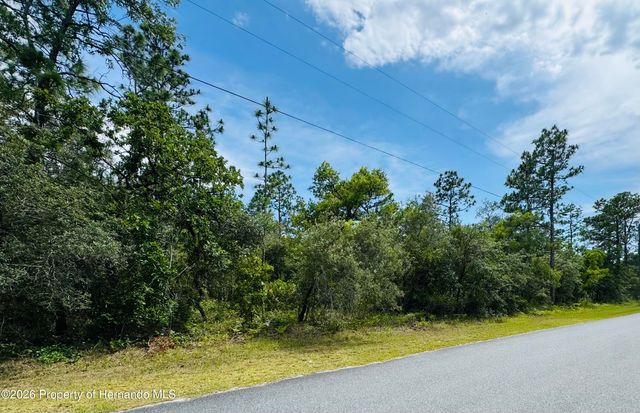 Lot 4 Wood Owl Avenue, Weeki Wachee, FL 34614