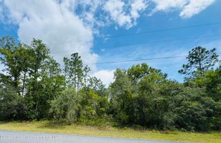 Lot 4 Wood Owl Avenue, Weeki Wachee, FL 34614
