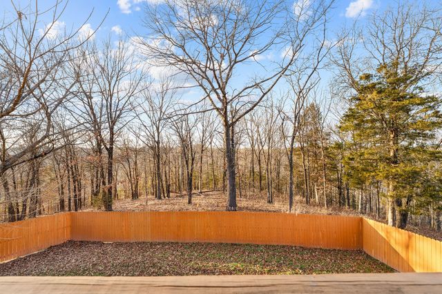 1865 Morningside Falls Boulevard, Blue Eye, MO 65611