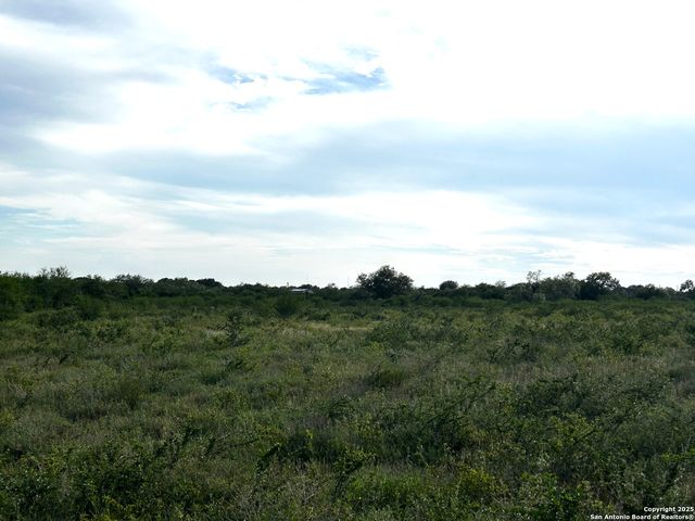 TBD Hackberry Dr (TR 56 Oak Motts Est), Beeville, TX 78102