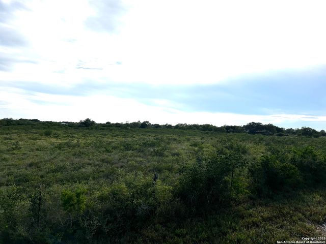 TBD Hackberry Dr (TR 56 Oak Motts Est), Beeville, TX 78102