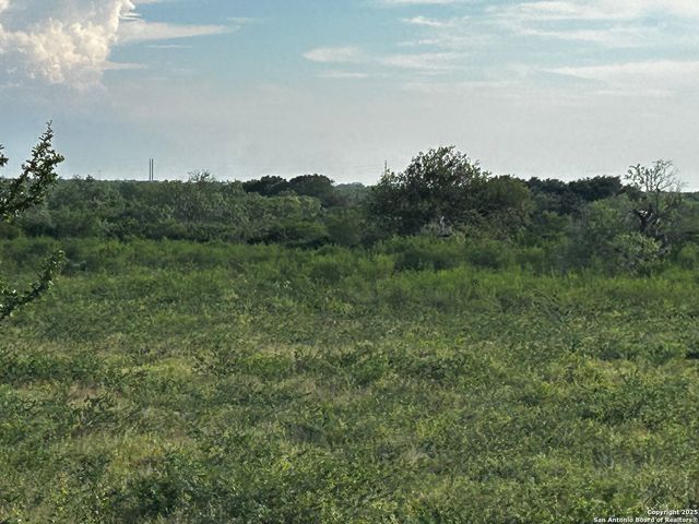 TBD Hackberry Dr (TR 56 Oak Motts Est), Beeville, TX 78102