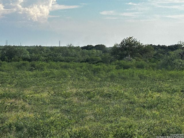 TBD Hackberry Dr (TR 56 Oak Motts Est), Beeville, TX 78102