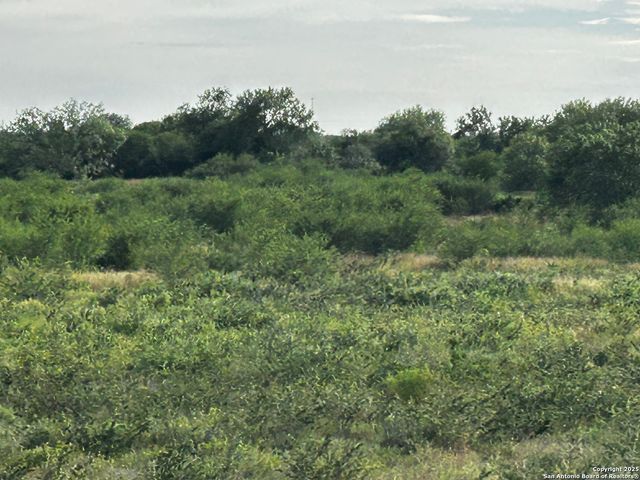 TBD Hackberry Dr (TR 56 Oak Motts Est), Beeville, TX 78102