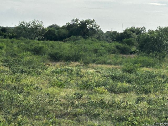 TBD Hackberry Dr (TR 56 Oak Motts Est), Beeville, TX 78102