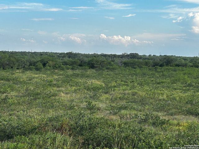 TBD Hackberry Dr (TR 56 Oak Motts Est), Beeville, TX 78102