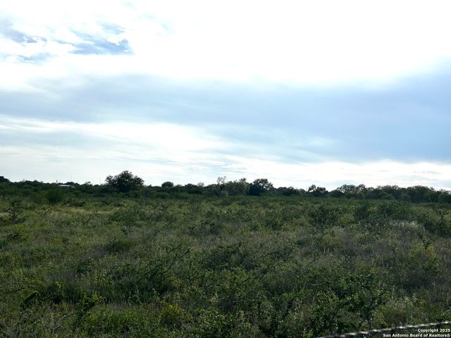 TBD Hackberry Dr (TR 56 Oak Motts Est), Beeville, TX 78102