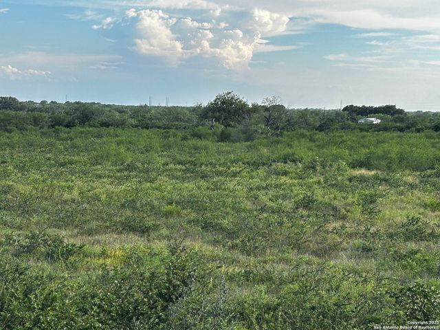 TBD Hackberry Dr (TR 56 Oak Motts Est), Beeville, TX 78102