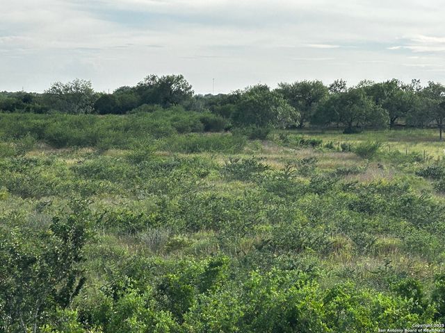 TBD Hackberry Dr (TR 56 Oak Motts Est), Beeville, TX 78102