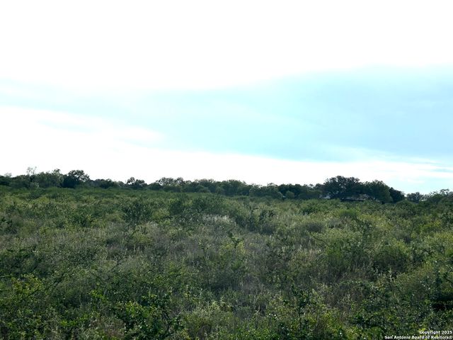 TBD Hackberry Dr (TR 56 Oak Motts Est), Beeville, TX 78102