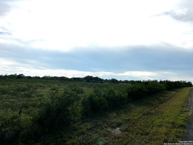 TBD Hackberry Dr (TR 56 Oak Motts Est), Beeville, TX 78102
