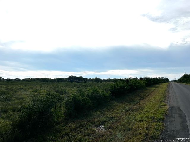 TBD Hackberry Dr (TR 56 Oak Motts Est), Beeville, TX 78102