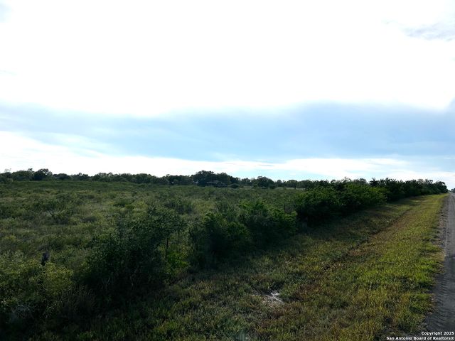 TBD Hackberry Dr (TR 56 Oak Motts Est), Beeville, TX 78102
