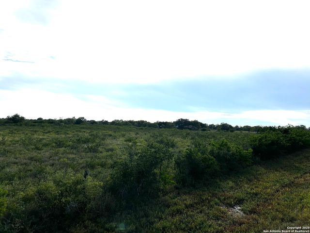 TBD Hackberry Dr (TR 56 Oak Motts Est), Beeville, TX 78102