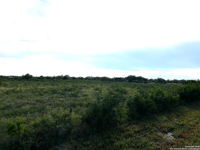 TBD Hackberry Dr (TR 56 Oak Motts Est), Beeville, TX 78102