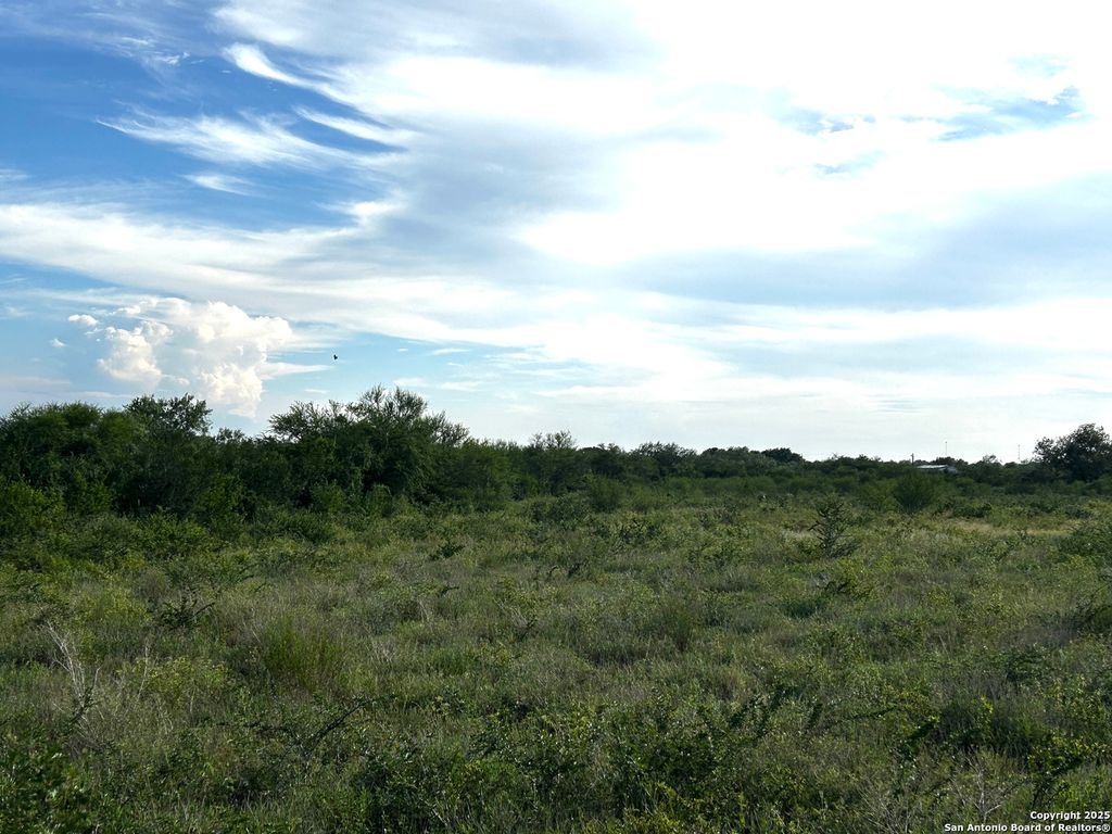 TBD Hackberry Dr (TR 56 Oak Motts Est), Beeville, TX 78102