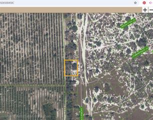 725 Malaguena Avenue, Lake Placid, FL 33852