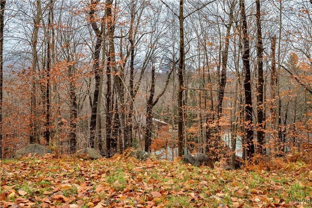 103 Pawnee Drive, Webb, NY 13420