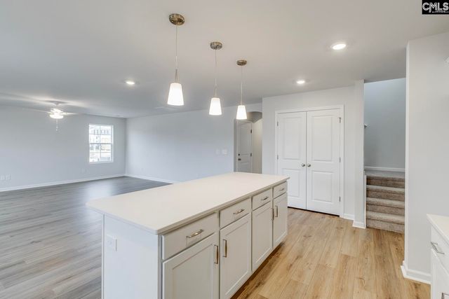 624 Clementine Run, Gilbert, SC 29054