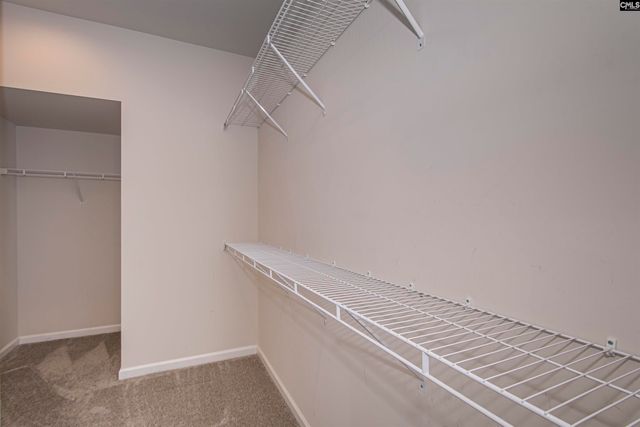 147 Doolittle Drive, Chapin, SC 29036
