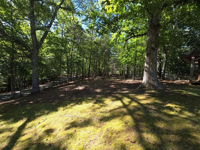 854 Rizzitello Lane, Blairsville, GA 30512
