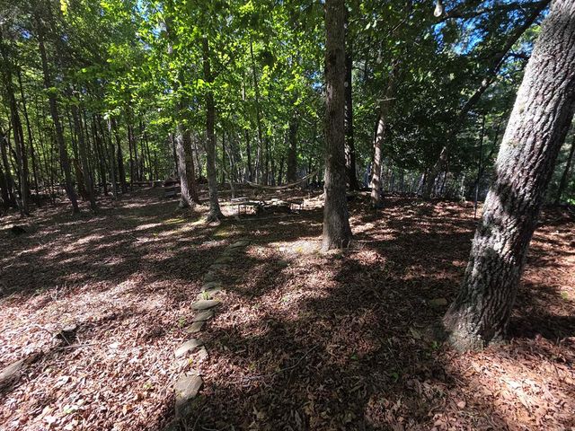 854 Rizzitello Lane, Blairsville, GA 30512