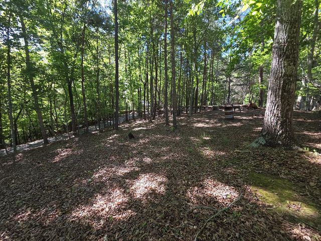 854 Rizzitello Lane, Blairsville, GA 30512