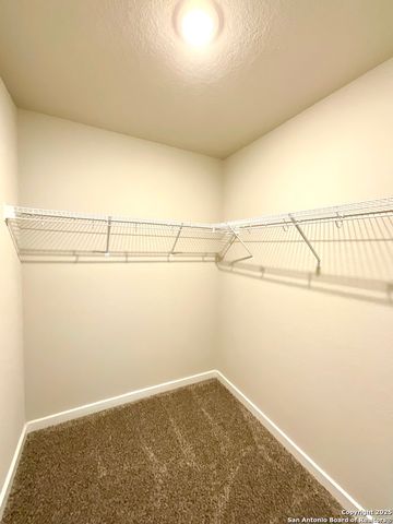 507 Wild Olive Way, San Antonio, TX 78219