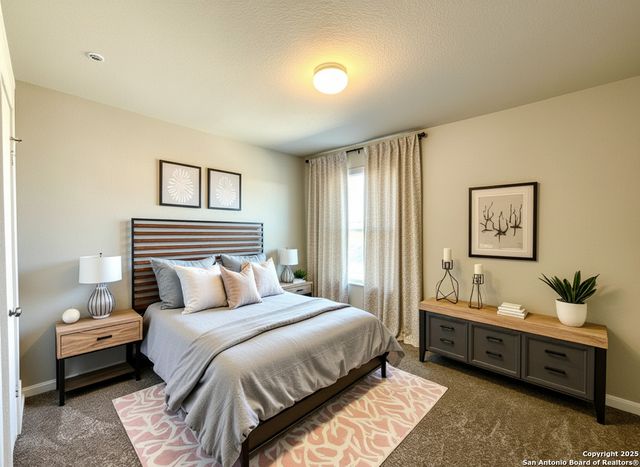 507 Wild Olive Way, San Antonio, TX 78219