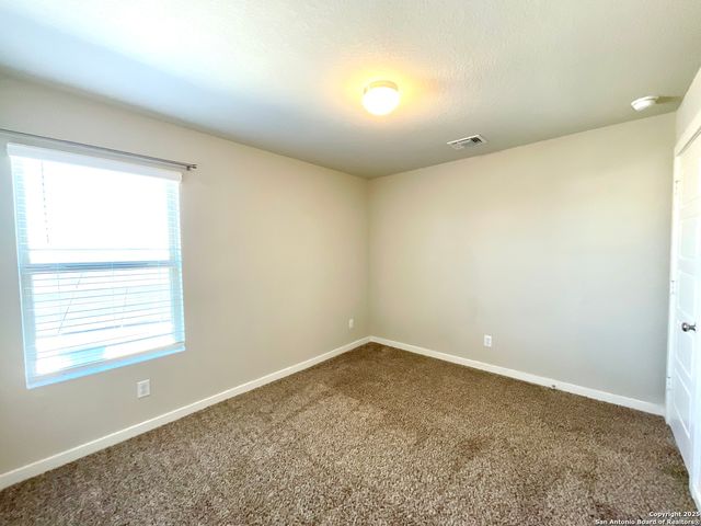 507 Wild Olive Way, San Antonio, TX 78219