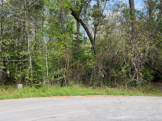 25685 Northampton, New Caney, TX 77357