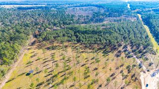 0020 Big Buck Drive, Moscow, TX 75960
