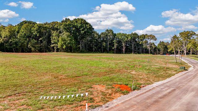 0 Bethel Farm Cove, Murfreesboro, TN 37129