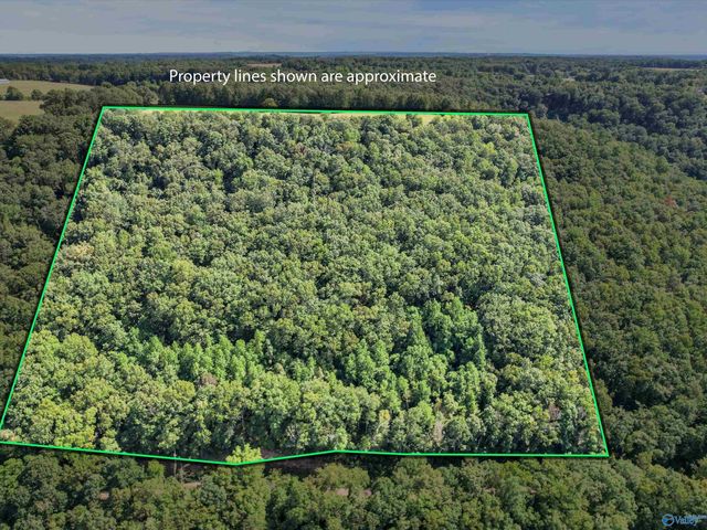 15 Shin Point Road, Grant, AL 35760