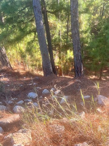 TBD Onini CT, Bastrop, TX 78602