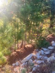 TBD Onini CT, Bastrop, TX 78602