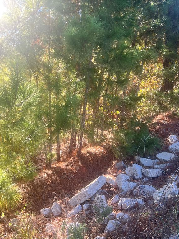 TBD Onini CT, Bastrop, TX 78602