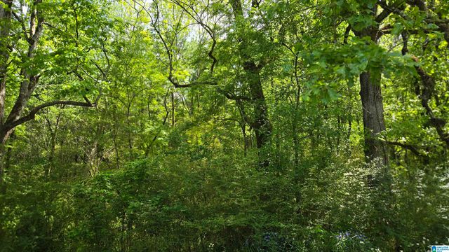 1809 OLD BIRMINGHAM HIGHWAY, Jasper, AL 35501