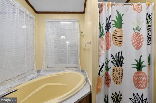 26603 WHITEWATER CV, Millsboro, DE 19966