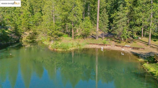 19376 Poplar Circle, Twain Harte, CA 95383